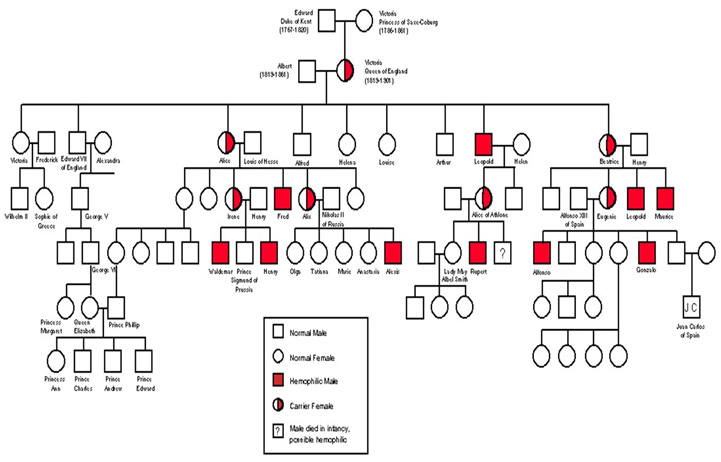 Queen Victoria Genomic Bloodline Inforgraphic