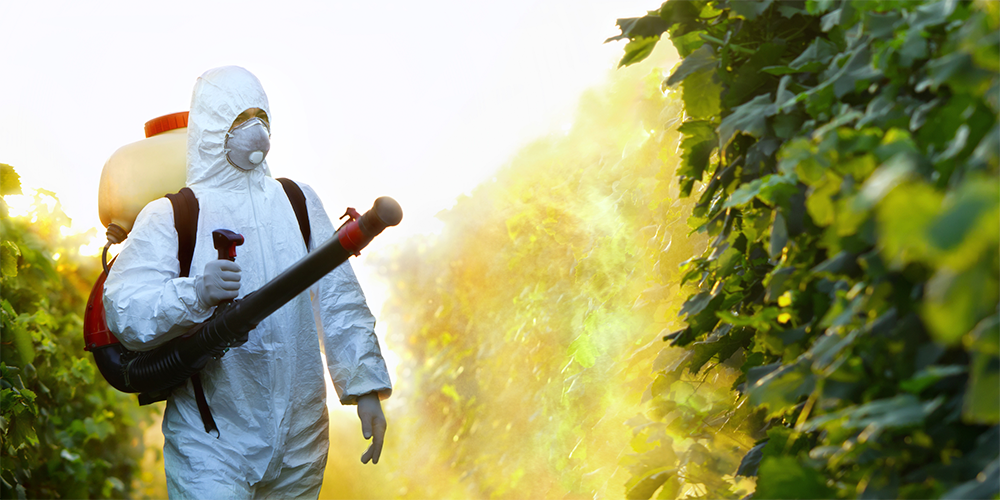 A person spraying biopesticides.